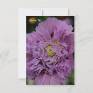 Tarjeta Pequeña Lavender Ruffly Poppy