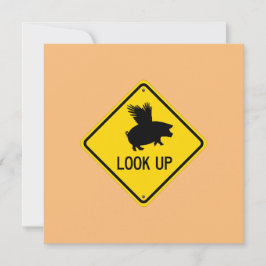 Tarjeta Pequeña Levantar Los Ojos Para Que Los Cerdos Puedan Volar