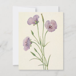 Tarjeta Pequeña Lilac Mariposa por Mary Vaux Walcott