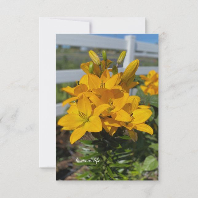 Tarjeta Pequeña Lilies amarillos (Anverso)