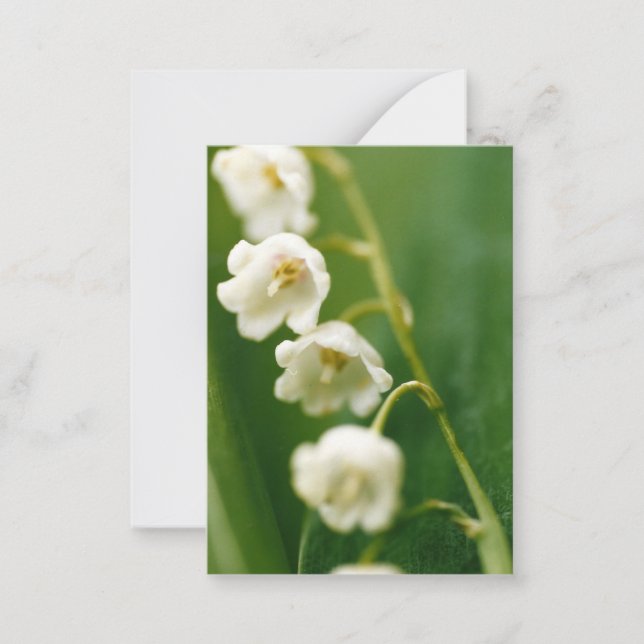 Tarjeta Pequeña Lirio blanco del valle (Convallaria majalis) (Anverso)