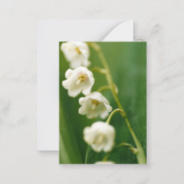 Tarjeta Pequeña Lirio blanco del valle (Convallaria majalis)