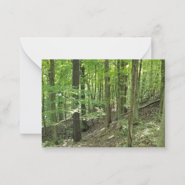 Tarjeta Pequeña Los guardianes de los bosques (Anverso)