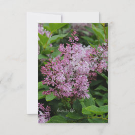 Tarjeta Pequeña Lovely Lilac
