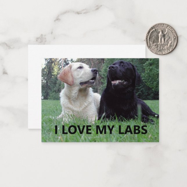 Tarjeta Pequeña LR I Love My Labs with picture (Anverso/Reverso In Situ)