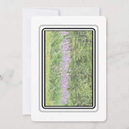 Tarjeta Pequeña Lupines - Big Bay Rd 2023 Notecards