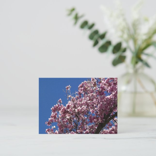 Tarjeta Pequeña Magnolia magnífica (Anverso de pie)