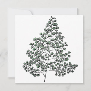 Tarjeta Pequeña Maidenhair Fern