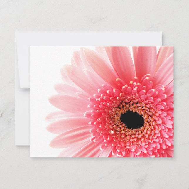Tarjeta Pequeña Margarita Gerbera Rosa (Anverso)