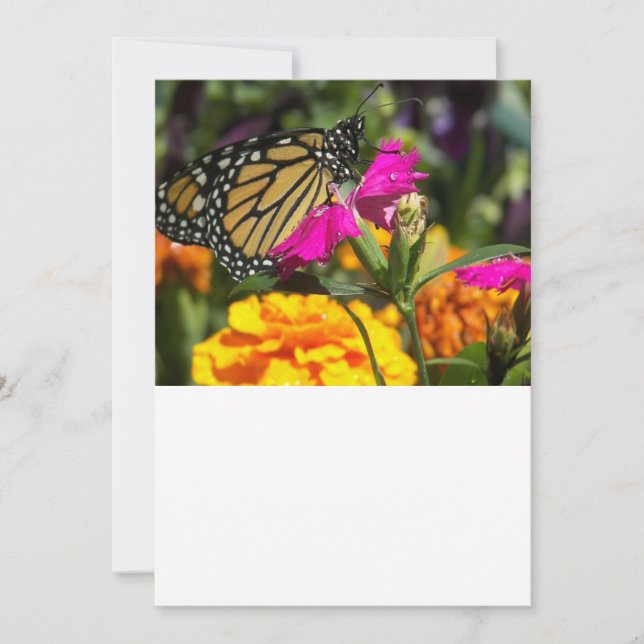 Tarjeta Pequeña Mariposa monarca en rosa Marigold (Anverso)