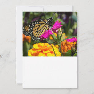 Tarjeta Pequeña Mariposa monarca en rosa Marigold
