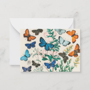 Tarjeta Pequeña Mariposas, ilustracion vintage