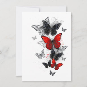 Tarjeta Pequeña Mariposas Morpho voladoras negras y rojas