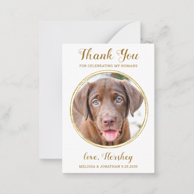 Tarjeta Pequeña Mascota de presupuesto Foto Perro Boda Moda Oro Gr (Anverso)