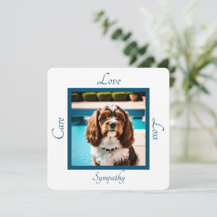 Tarjeta Pequeña Mascota personalizable de perro simpatía por la fo