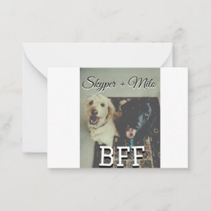 Tarjeta Pequeña Mascotas amigos bestias agregar nombre mascota fot