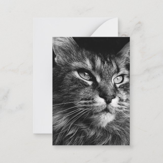 Tarjeta Pequeña Masculino gato 3,5 x 2,5 (Anverso)