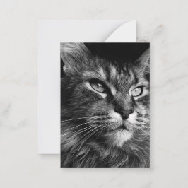 Tarjeta Pequeña Masculino gato 3,5 x 2,5