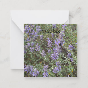 Tarjeta Pequeña May bee