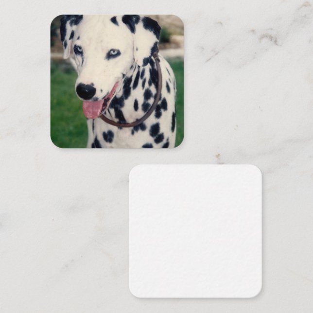 Tarjeta Pequeña Mi Mascota amigo sube tu propio Personalizado de f (Anverso / Reverso)