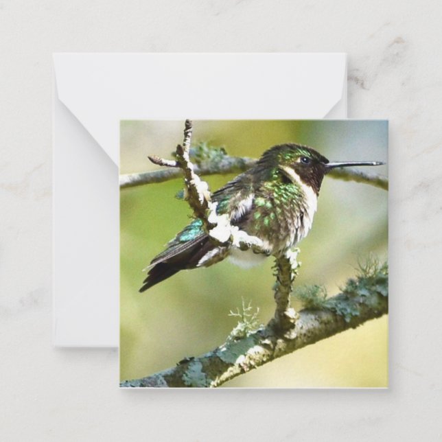 Tarjeta Pequeña Mini-notecas de Hummingbird personalizadas (Anverso)