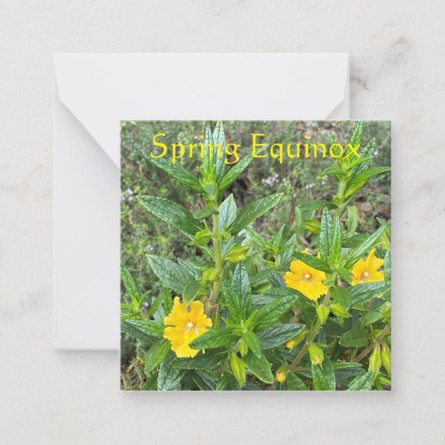Tarjeta Pequeña Monkeyflowers Equinox de primavera (Anverso)