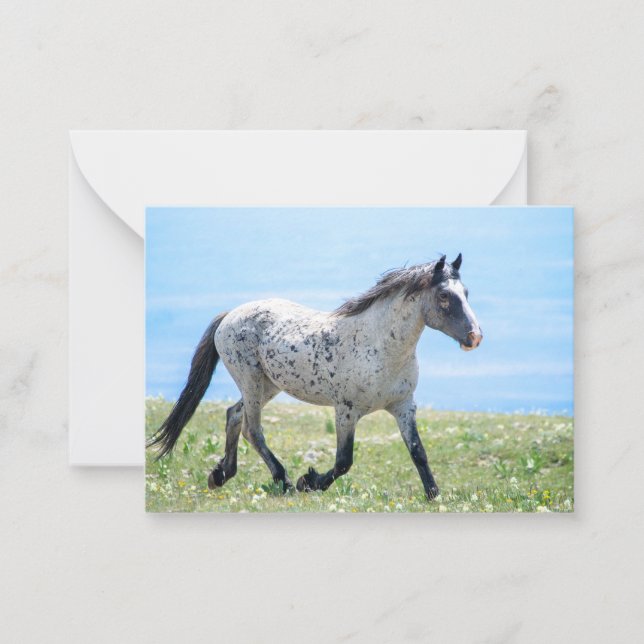 Tarjeta Pequeña Montaña Pryor Wild Mustang Mica/Mato Ska (Anverso)