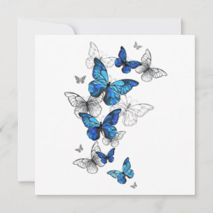 Tarjeta Pequeña Morfo de las mariposas voladoras azules