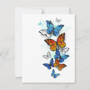 Tarjeta Pequeña Morfo y monarca de las mariposas voladoras