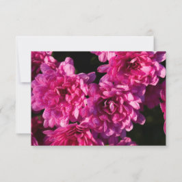 Tarjeta Pequeña Mums rosadas de otoño