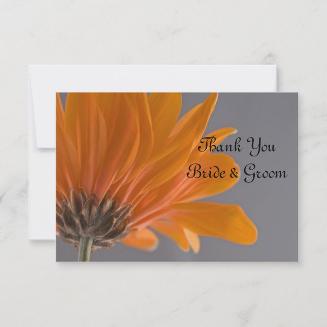 Tarjeta Pequeña Naranja Daisy sobre la llanura de Bodas grises (Anverso)
