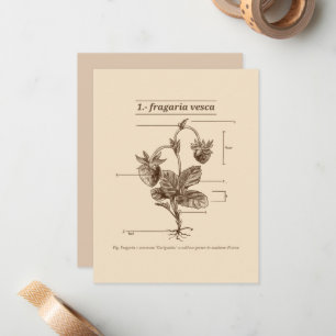 Tarjeta Pequeña Naturaleza de la Etimología Latina de la Planta de