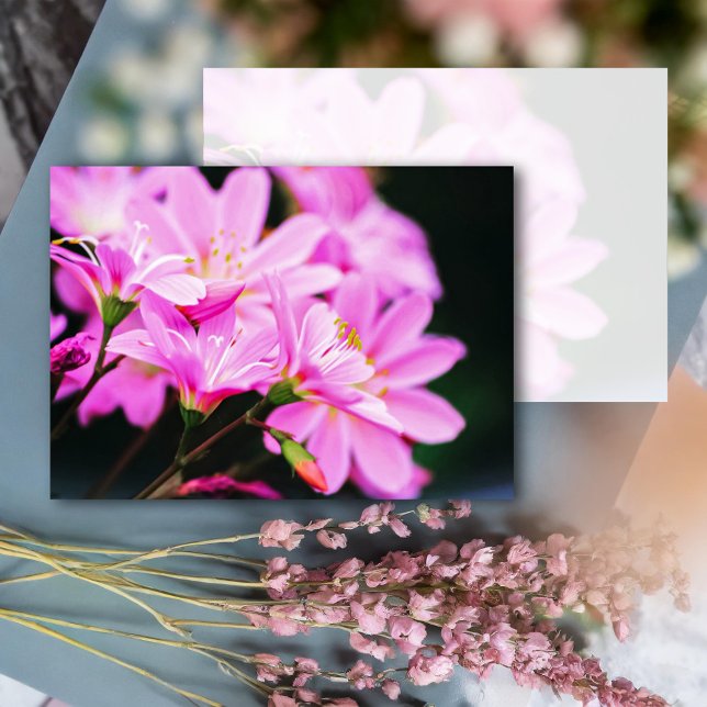 Tarjeta Pequeña Naturaleza de las flores de primavera rosada (Subido por el creador)
