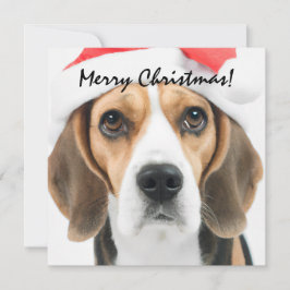 Tarjeta Pequeña Navidad de Beagle