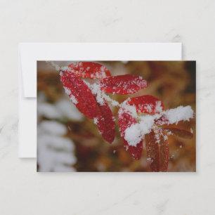 Tarjeta Pequeña Nieve en Hojas Rojas