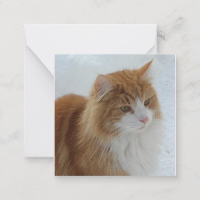 Tarjeta Pequeña Norwegian_Forest_Cat (Anverso)