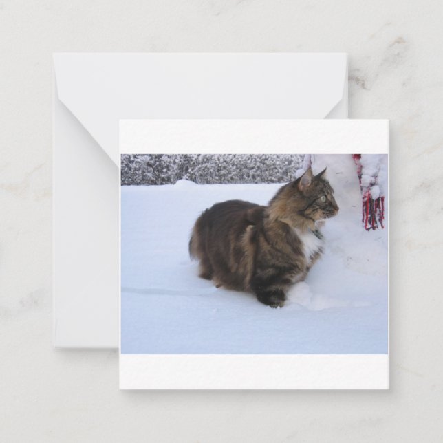 Tarjeta Pequeña norwegian forest cat in snow (Anverso)