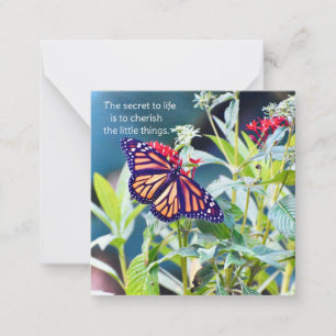 Tarjeta Pequeña Notecas de mariposa monarca