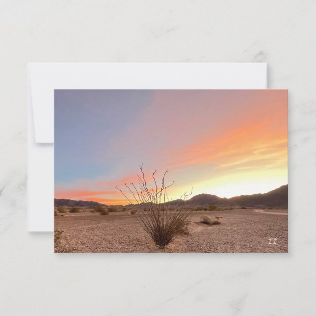 Tarjeta Pequeña Ocotillo Sunrise (Anverso)