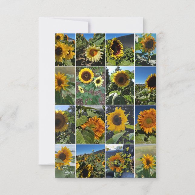 Tarjeta Pequeña Oh So Many Sunflowers Collage (Anverso)