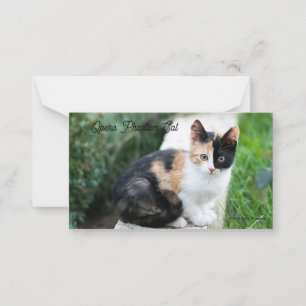 Tarjeta Pequeña Opera Gato fantasma