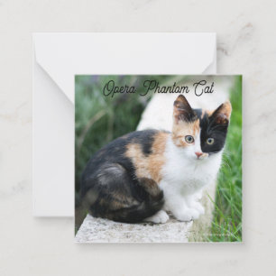 Tarjeta Pequeña Opera Gato fantasma