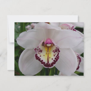 Tarjeta Pequeña Orquídea Blanca II Elegante Floral