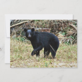Tarjeta Pequeña Oso Negro de Florida