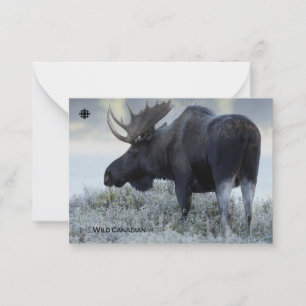 Tarjeta Pequeña Otoño - Moose