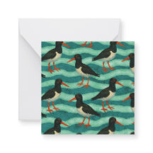Oyster Catcher Estilo Post-card