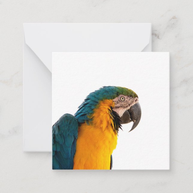 Tarjeta Pequeña Parrot Post-it Notes (Anverso)