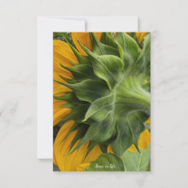 Tarjeta Pequeña Parte posterior del girasol