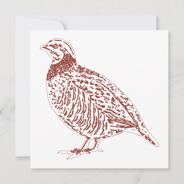 Tarjeta Pequeña Partridge Notecards (Anverso)