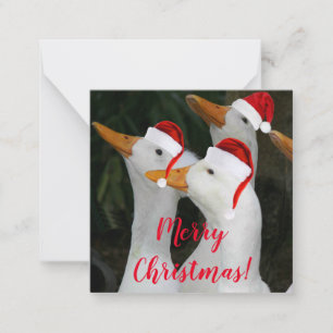 Tarjeta Pequeña Patos Blancos con Gorros Rojos de Santa Claus Fies